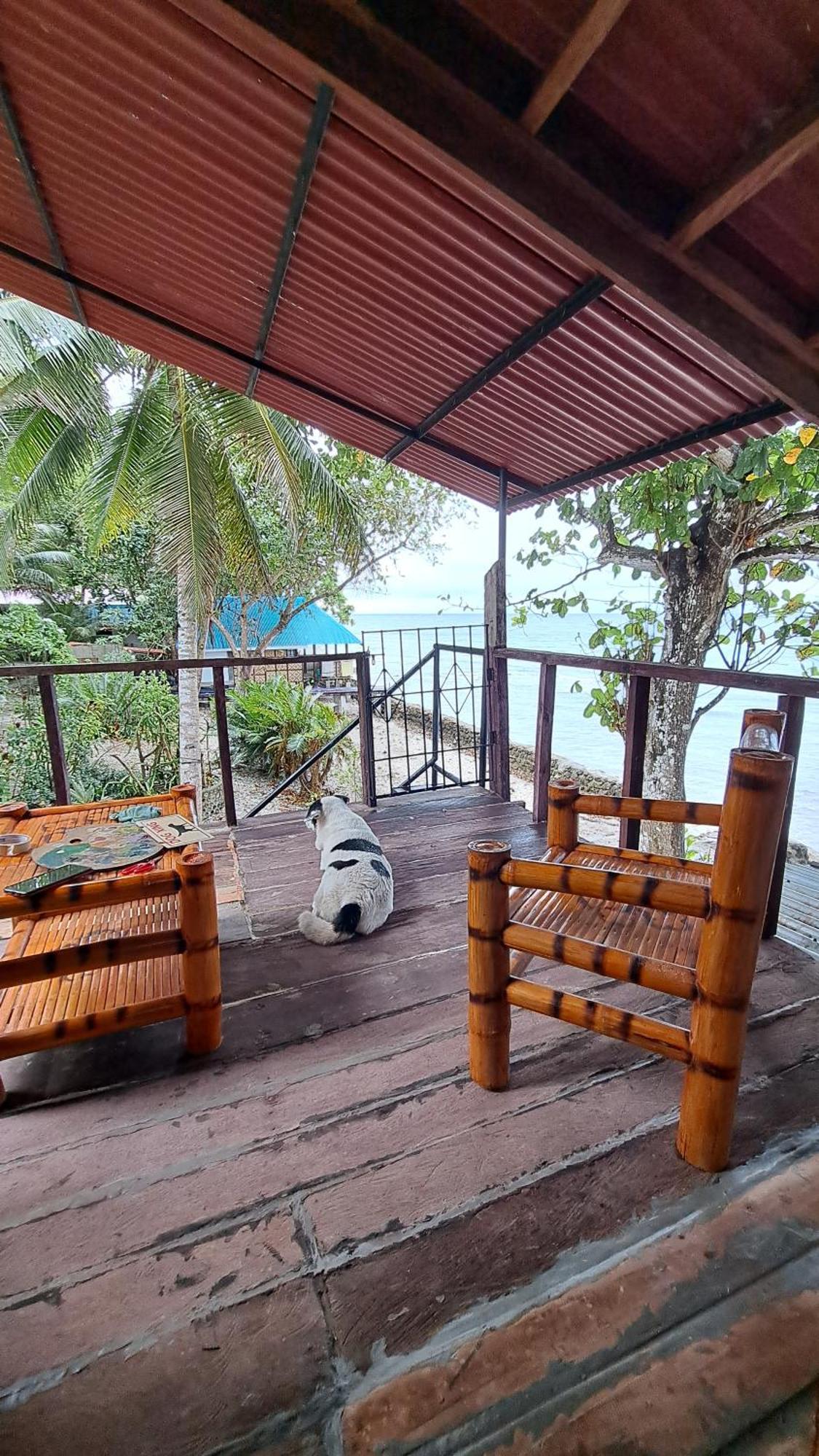 Paseo Del Mar Seaside Inn Jagna Luaran gambar